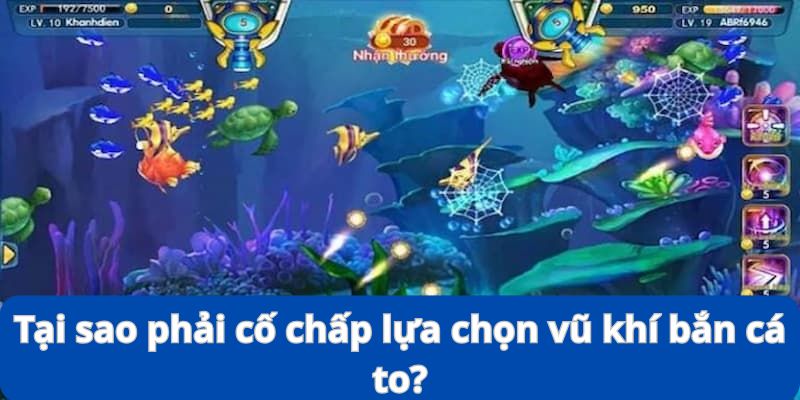 Lựa Chọn Vũ Khí Bắn Cá To - Kinh Nghiệm Đi Săn Siêu Đỉnh 8 Bạn có nên cố chấp để săn cho bằng được chú cá to hay không?