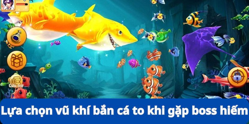 Lựa Chọn Vũ Khí Bắn Cá To - Kinh Nghiệm Đi Săn Siêu Đỉnh 9 Lựa chọn vũ khí bắn cá to khi gặp mục tiêu hiếm